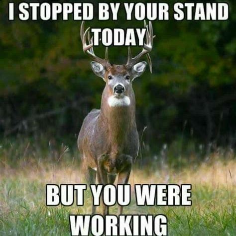 funny deer hunting memes|deer hunting jokes pictures.